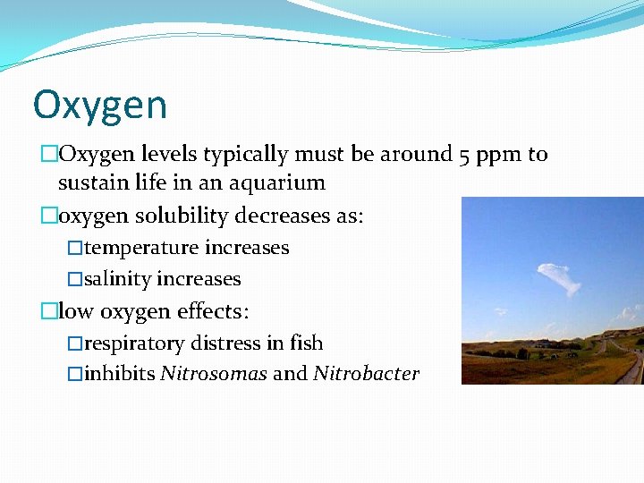 Oxygen �Oxygen levels typically must be around 5 ppm to sustain life in an