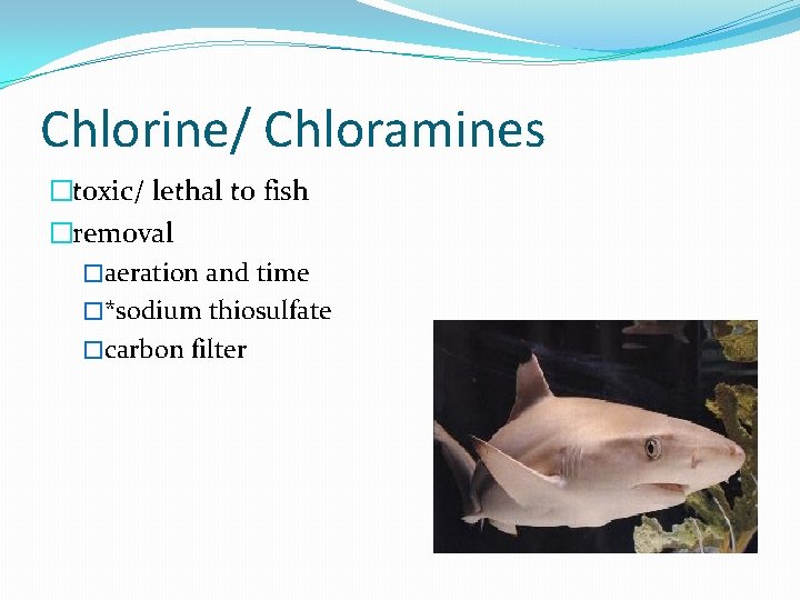 Chlorine/ Chloramines �toxic/ lethal to fish �removal �aeration and time �*sodium thiosulfate �carbon filter