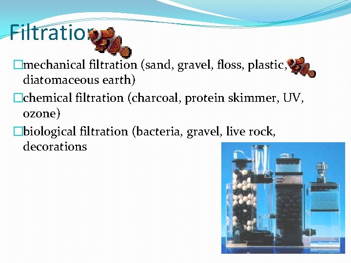 Filtration �mechanical filtration (sand, gravel, floss, plastic, diatomaceous earth) �chemical filtration (charcoal, protein skimmer,