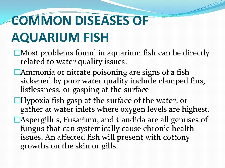 COMMON DISEASES OF AQUARIUM FISH �Most problems found in aquarium fish can be directly