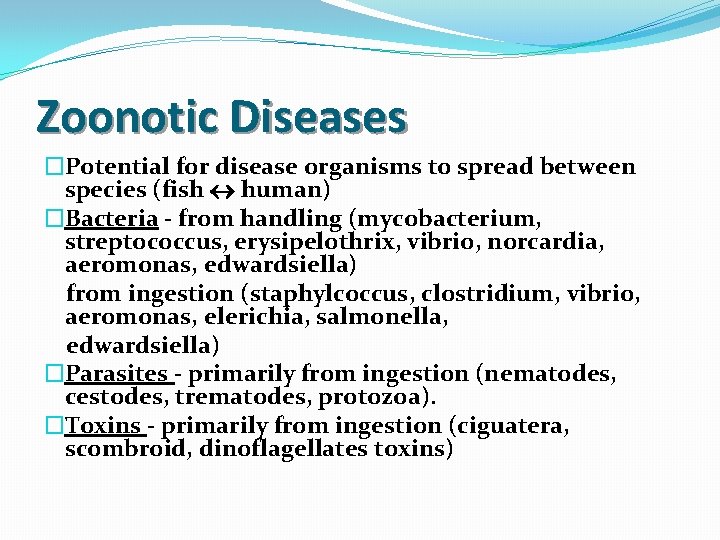 Zoonotic Diseases �Potential for disease organisms to spread between species (fish human) �Bacteria -