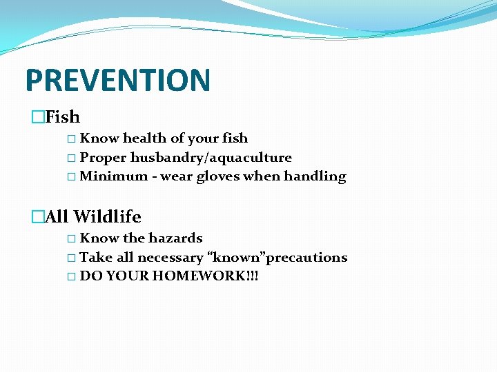 PREVENTION �Fish � Know health of your fish � Proper husbandry/aquaculture � Minimum -