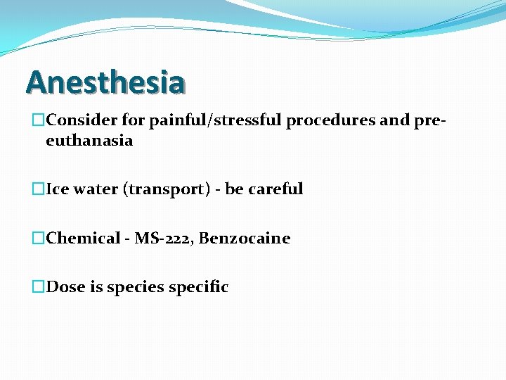 Anesthesia �Consider for painful/stressful procedures and preeuthanasia �Ice water (transport) - be careful �Chemical