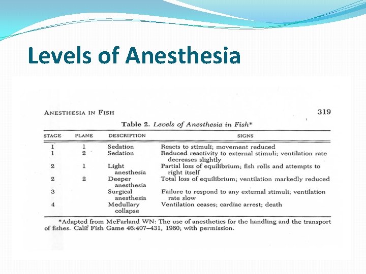 Levels of Anesthesia 