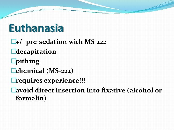 Euthanasia �+/- pre-sedation with MS-222 �decapitation �pithing �chemical (MS-222) �requires experience!!! �avoid direct insertion