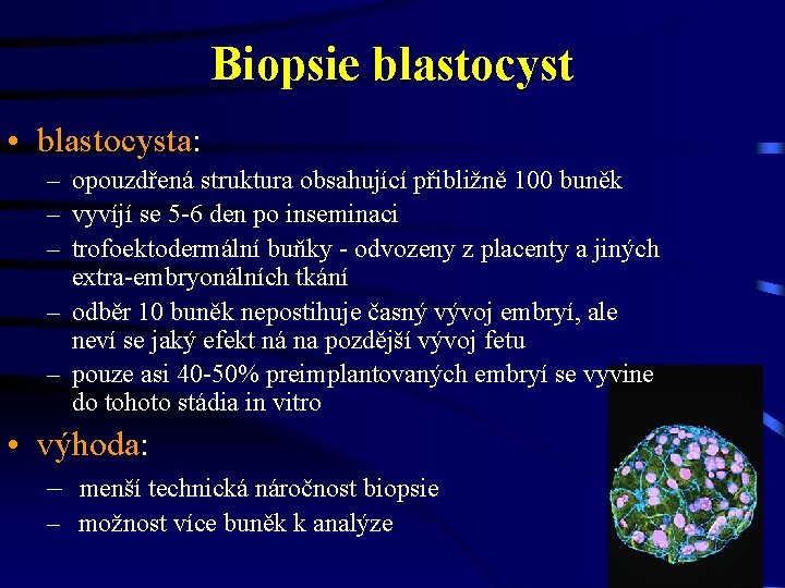 Biopsie blastocyst • blastocysta: – opouzdřená struktura obsahující přibližně 100 buněk – vyvíjí se