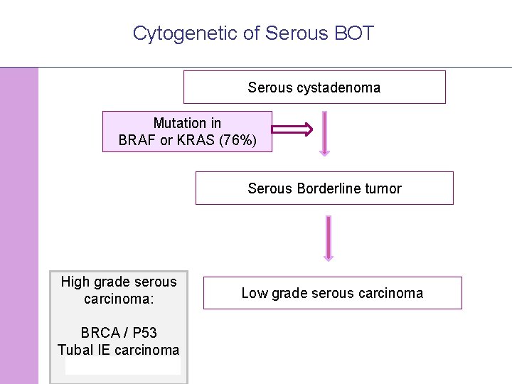 Cytogenetic of Serous BOT Serous cystadenoma Mutation in BRAF or KRAS (76%) Serous Borderline