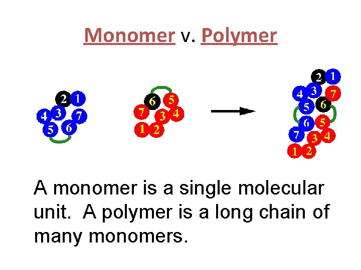 Monomer v. Polymer H 2 O A monomer is a single molecular H 2