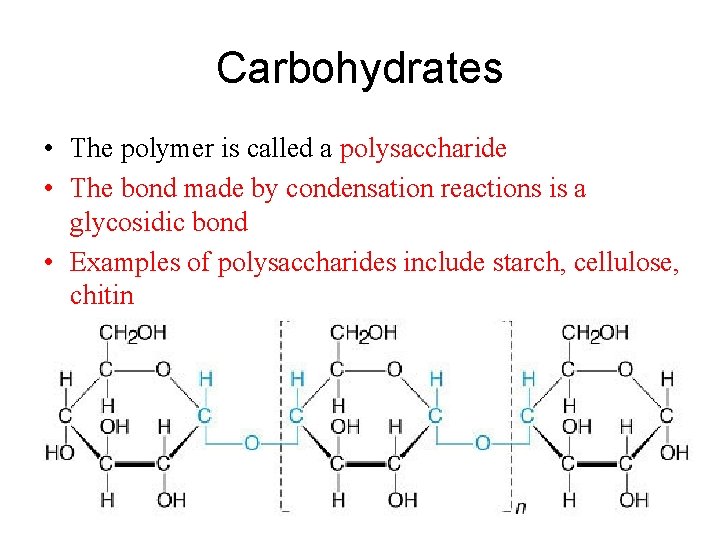 Carbohydrates • The polymer is called a polysaccharide • The bond made by condensation