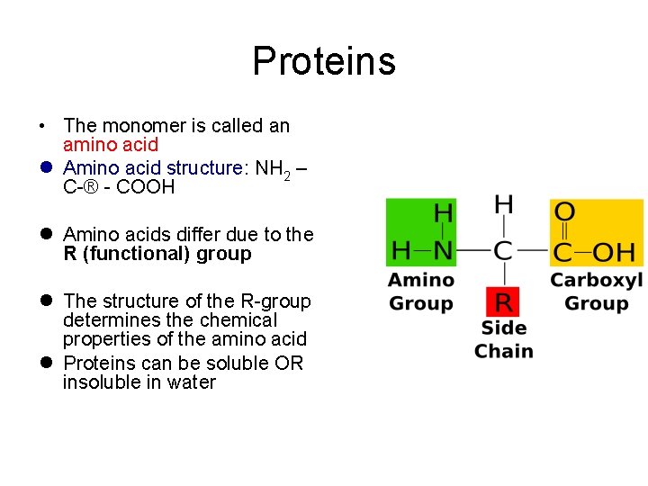 Proteins • The monomer is called an amino acid l Amino acid structure: NH
