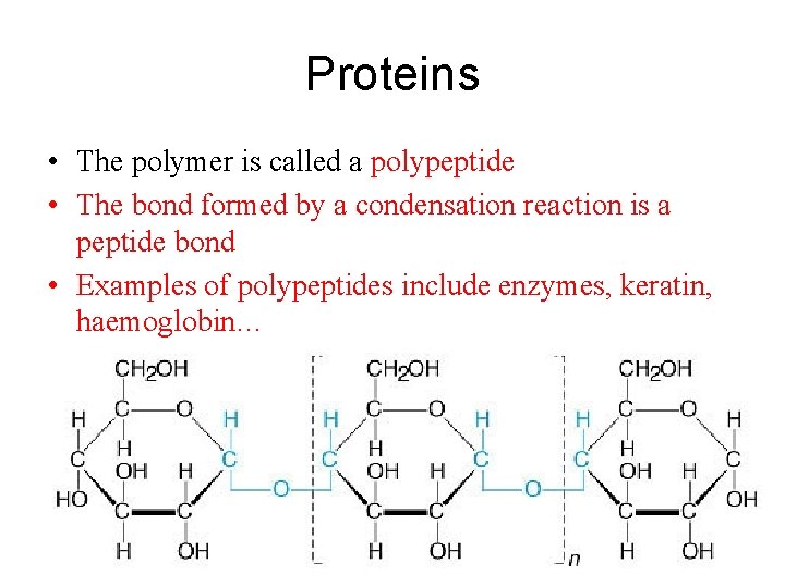 Proteins • The polymer is called a polypeptide • The bond formed by a