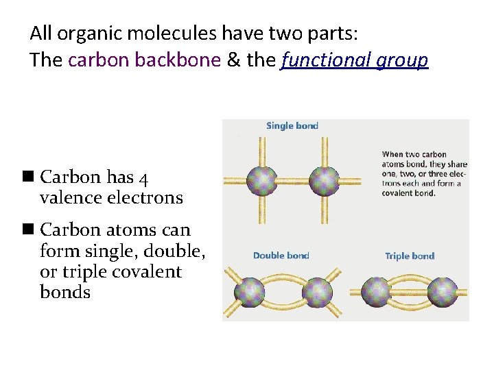 All organic molecules have two parts: The carbon backbone & the functional group n