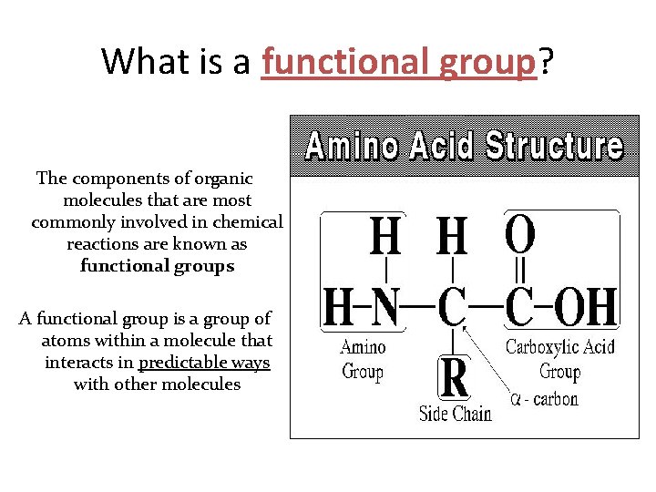 What is a functional group? The components of organic molecules that are most commonly