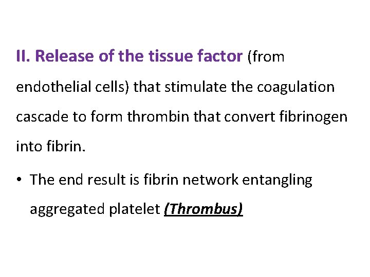 II. Release of the tissue factor (from endothelial cells) that stimulate the coagulation cascade