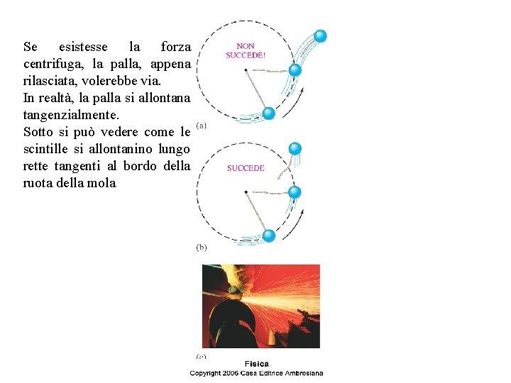 Se esistesse la forza centrifuga, la palla, appena rilasciata, volerebbe via. In realtà, la