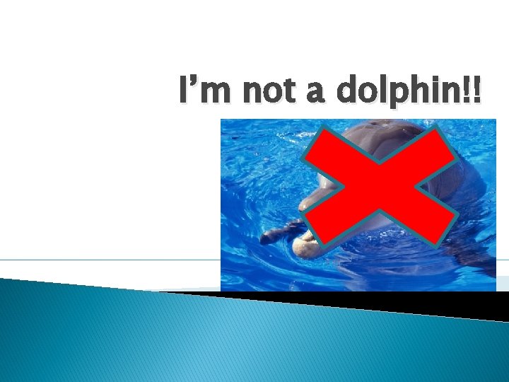 I’m not a dolphin!! 