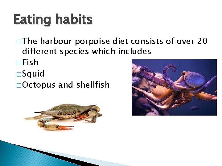 Eating habits � The harbour porpoise diet consists of over 20 different species which