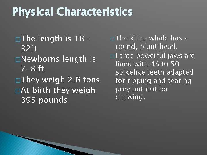 Physical Characteristics � The length is 18 - 32 ft � Newborns length is