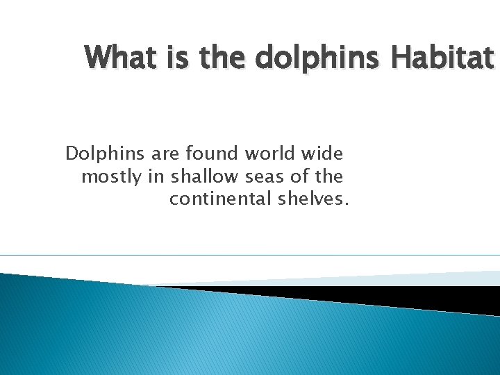 What is the dolphins Habitat Dolphins are found world wide mostly in shallow seas