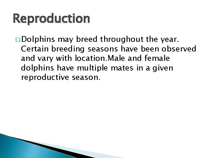 Reproduction � Dolphins may breed throughout the year. Certain breeding seasons have been observed