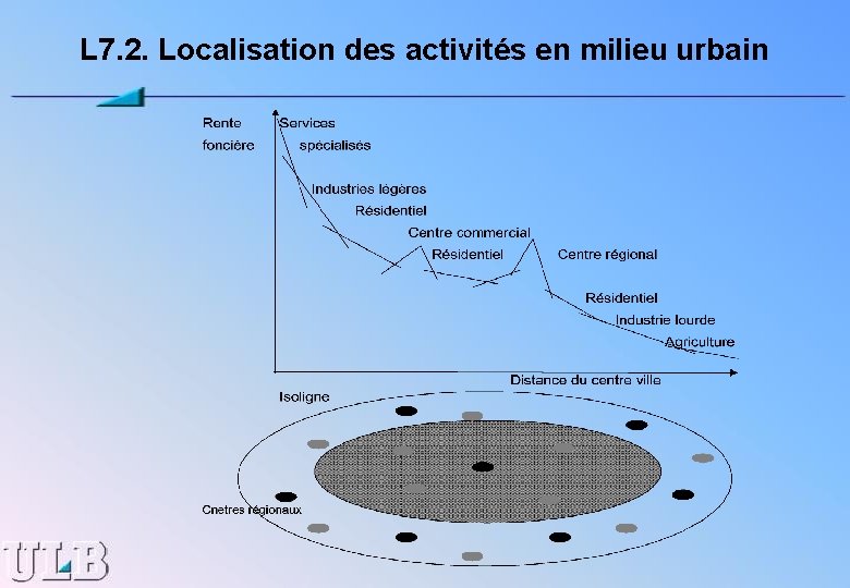 L 7. 2. Localisation des activités en milieu urbain 