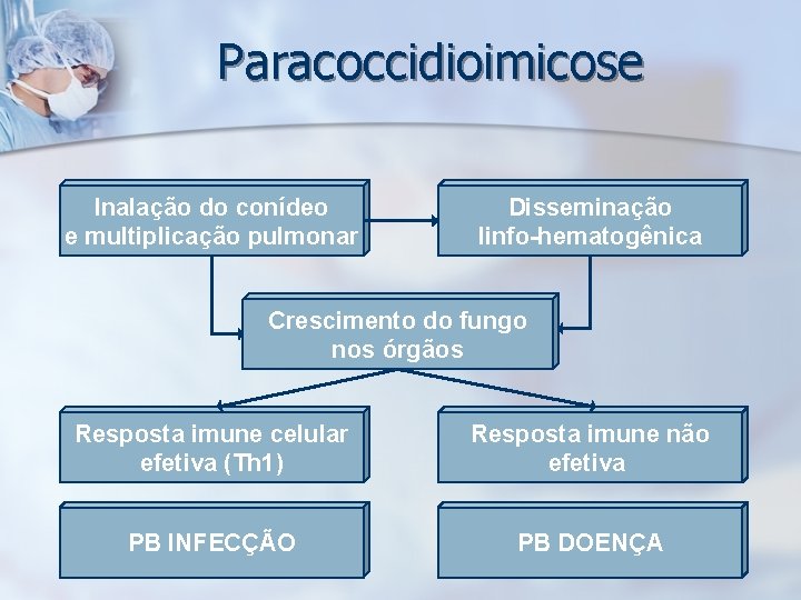 Paracoccidioimicose Inalação do conídeo e multiplicação pulmonar Disseminação linfo-hematogênica Crescimento do fungo nos órgãos