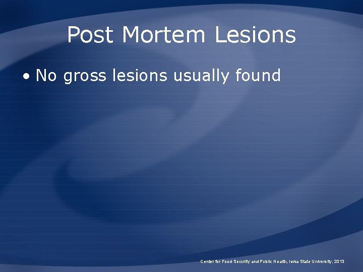 Post Mortem Lesions • No gross lesions usually found Center for Food Security and