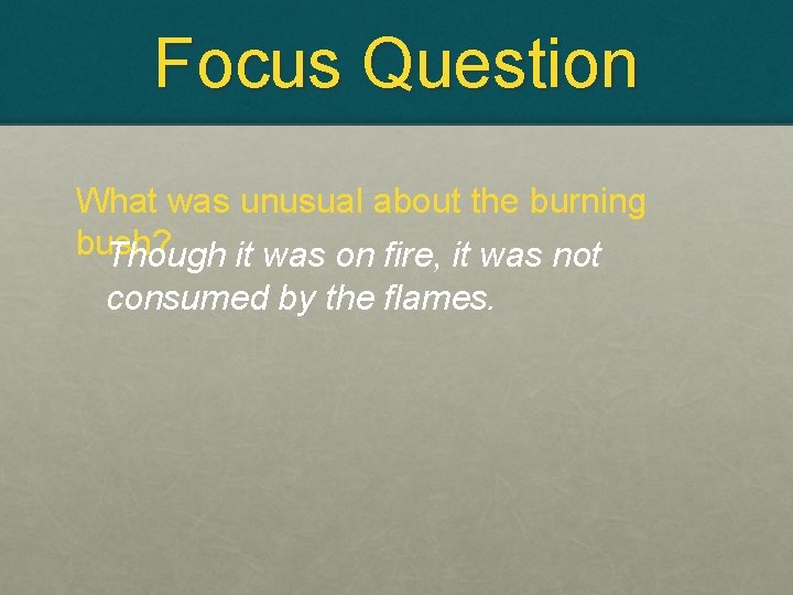 Focus Question What was unusual about the burning bush? Though it was on fire,