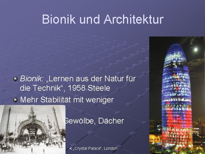 Bionik und Architektur Bionik: „Lernen aus der Natur für die Technik“, 1958 Steele Mehr