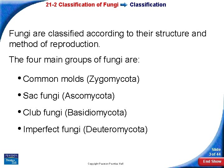 21 -2 Classification of Fungi Classification Fungi are classified according to their structure and