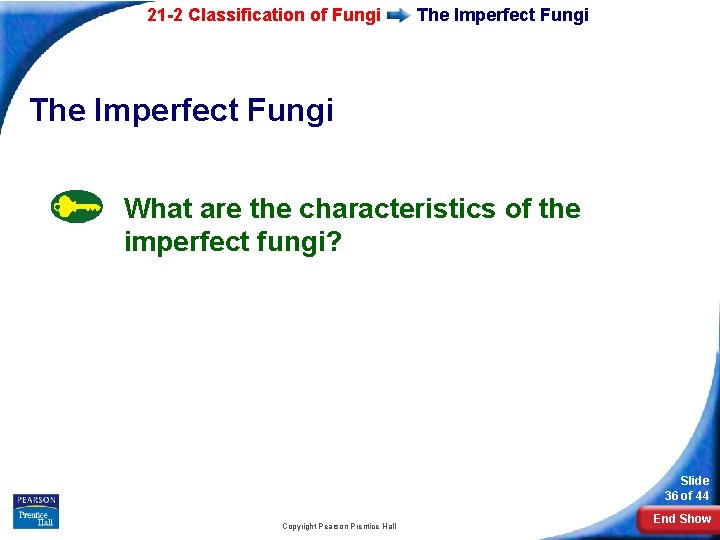 21 -2 Classification of Fungi The Imperfect Fungi What are the characteristics of the