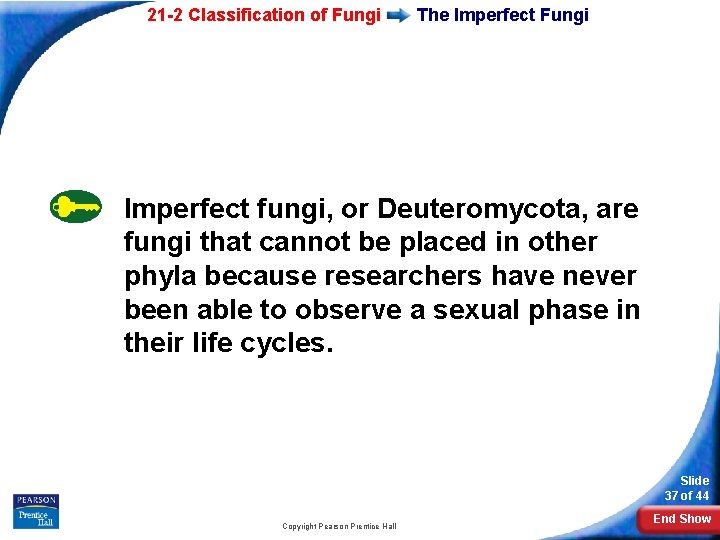 21 -2 Classification of Fungi The Imperfect Fungi Imperfect fungi, or Deuteromycota, are fungi