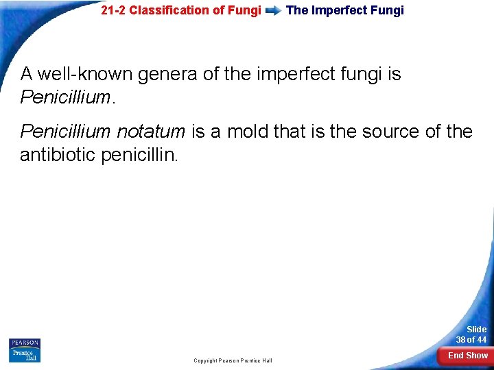 21 -2 Classification of Fungi The Imperfect Fungi A well-known genera of the imperfect
