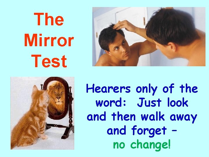 The Mirror Test Hearers only of the word: Just look and then walk away
