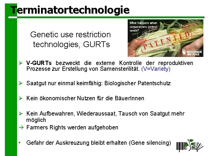 Terminatortechnologie Genetic use restriction technologies, GURTs Ø V-GURTs bezweckt die externe Kontrolle der reproduktiven