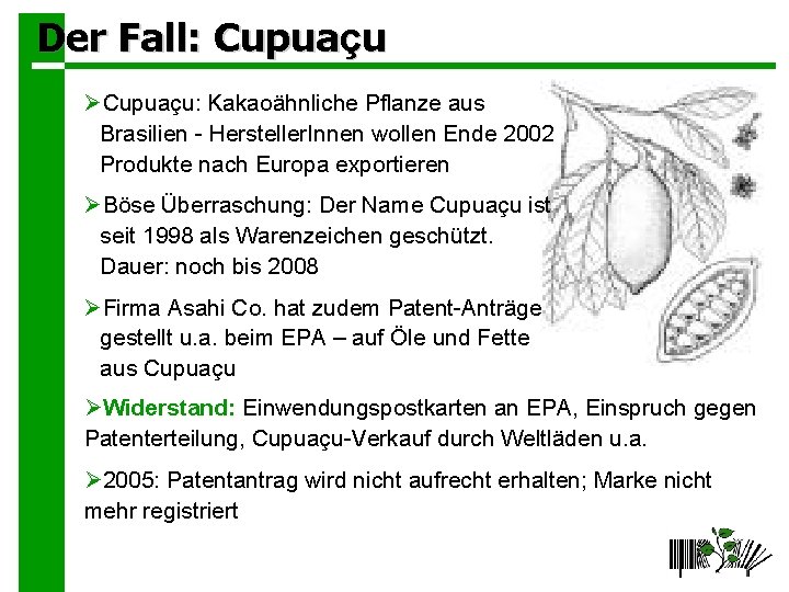 Der Fall: Cupuaçu ØCupuaçu: Kakaoähnliche Pflanze aus Brasilien - Hersteller. Innen wollen Ende 2002