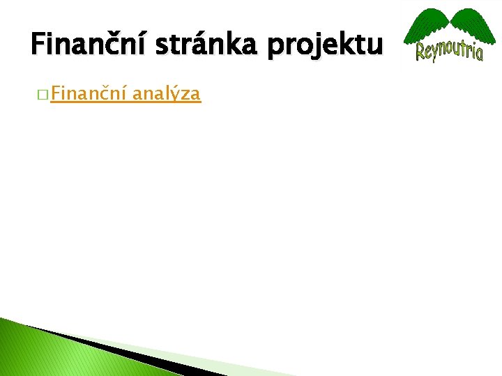 Finanční stránka projektu � Finanční analýza 