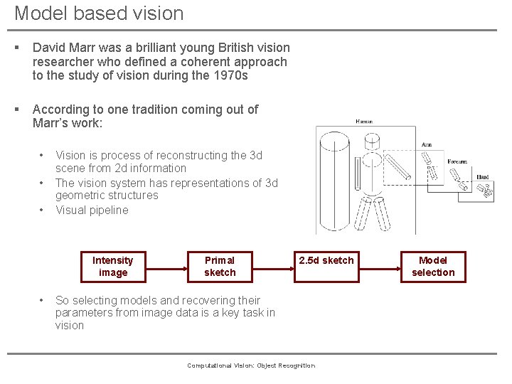 Model based vision § David Marr was a brilliant young British vision researcher who