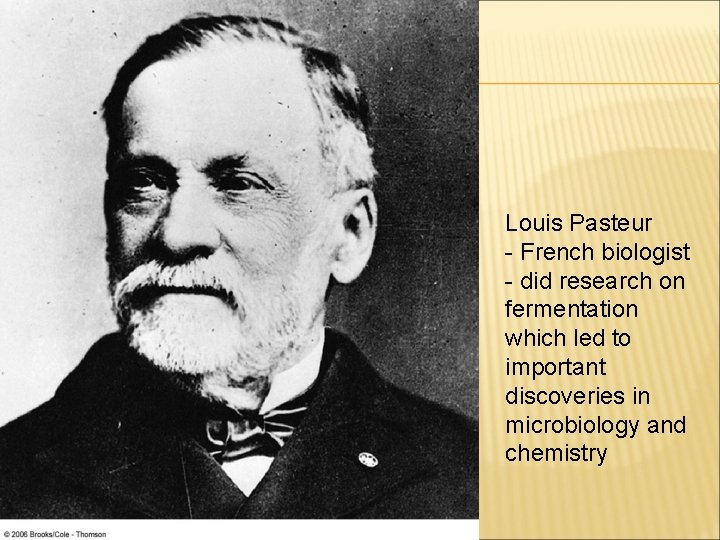 Louis Pasteur - French biologist - did research on fermentation which led to important