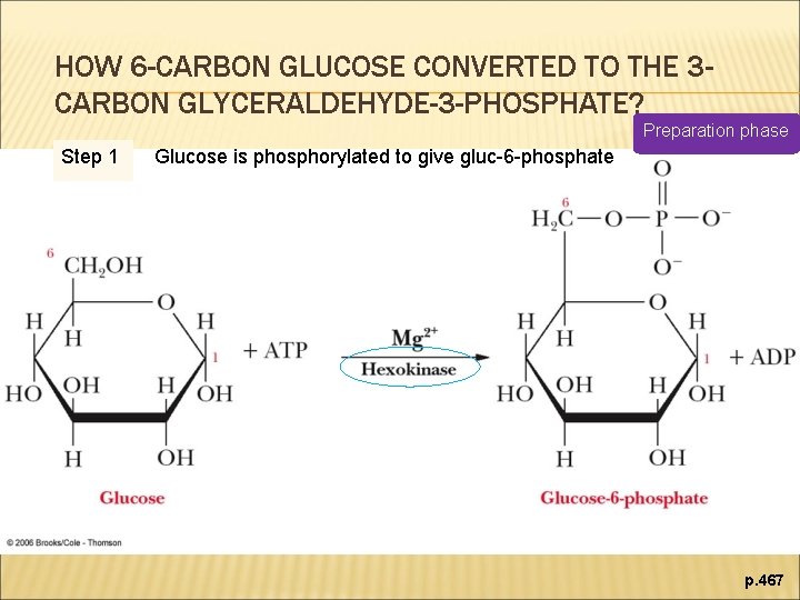 HOW 6 -CARBON GLUCOSE CONVERTED TO THE 3 CARBON GLYCERALDEHYDE-3 -PHOSPHATE? Preparation phase Step