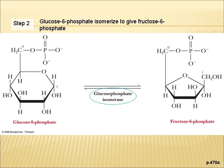 Step 2 Glucose-6 -phosphate isomerize to give fructose-6 phosphate p. 470 a 
