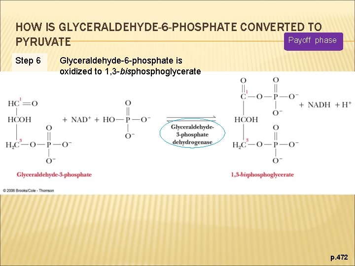 HOW IS GLYCERALDEHYDE-6 -PHOSPHATE CONVERTED TO Payoff phase PYRUVATE Step 6 Glyceraldehyde-6 -phosphate is