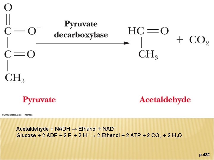 Acetaldehyde + NADH → Ethanol + NAD+ Glucose + 2 ADP + 2 Pi