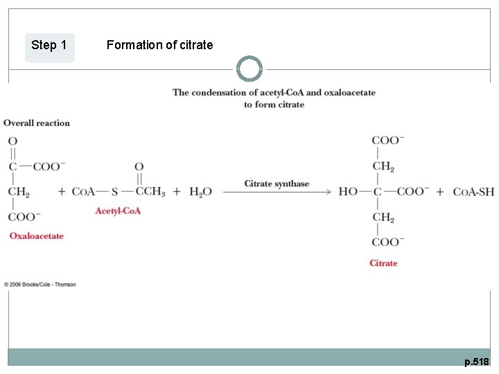 Step 1 Formation of citrate p. 518 