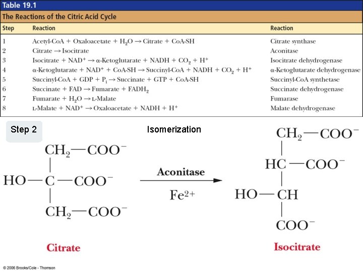 Step 2 Isomerization Table 19 -1, p. 518 