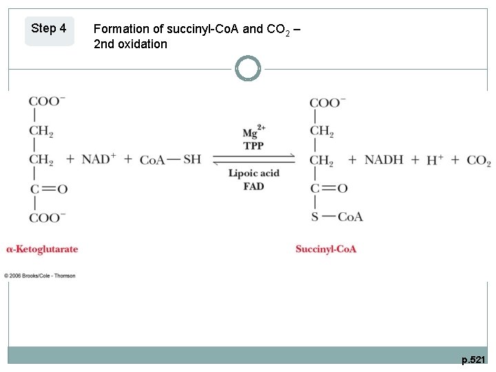 Step 4 Formation of succinyl-Co. A and CO 2 – 2 nd oxidation p.