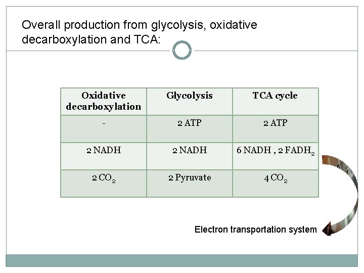 Overall production from glycolysis, oxidative decarboxylation and TCA: Oxidative decarboxylation Glycolysis TCA cycle -