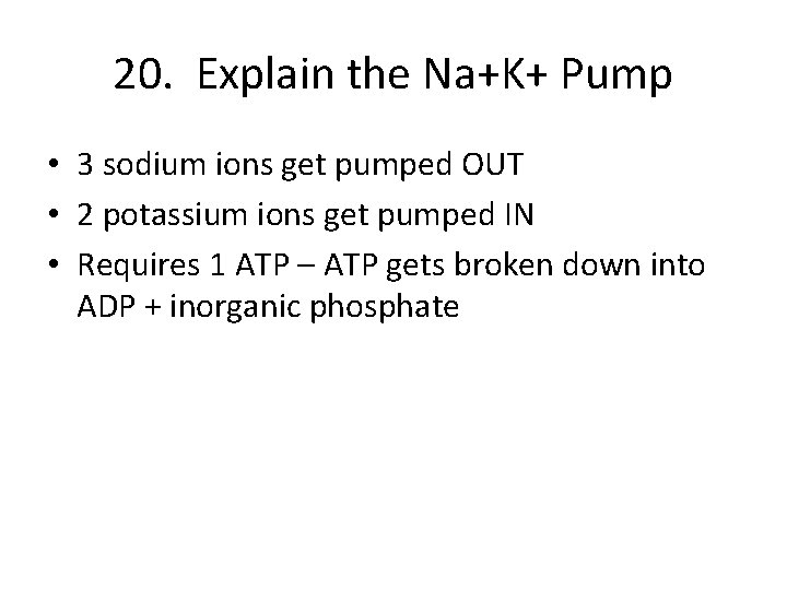 20. Explain the Na+K+ Pump • 3 sodium ions get pumped OUT • 2