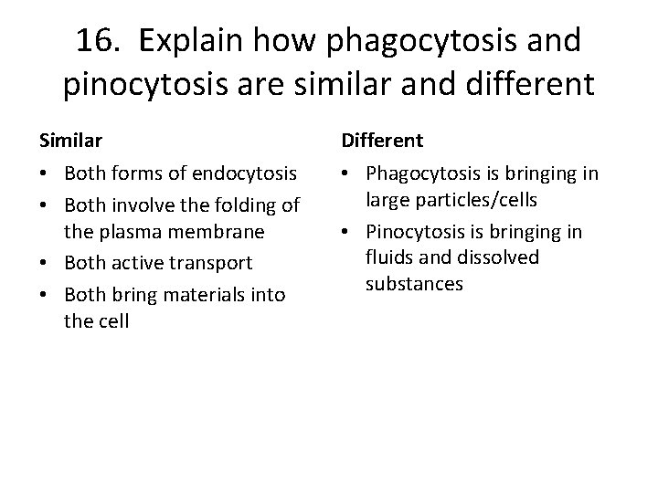 16. Explain how phagocytosis and pinocytosis are similar and different Similar Different • Both