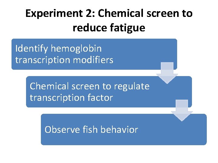 Experiment 2: Chemical screen to reduce fatigue Identify hemoglobin transcription modifiers Chemical screen to